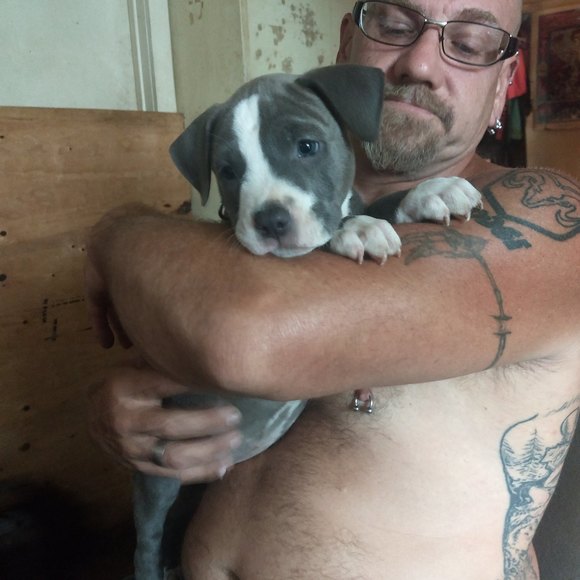 Meet your Posher, Gary e - Picture 1 of 1